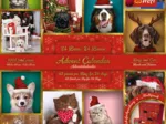 Calendrier De L'Avent Animaux