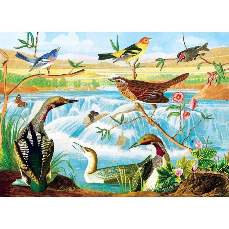Audubon - Harmonie Des Oiseaux Et Des Ruisseaux