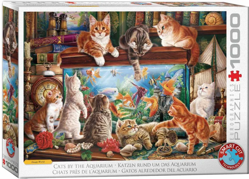 Chats Près de L'Aquarium