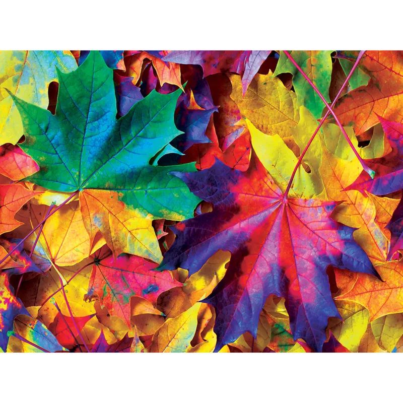 Fall Frenzy
