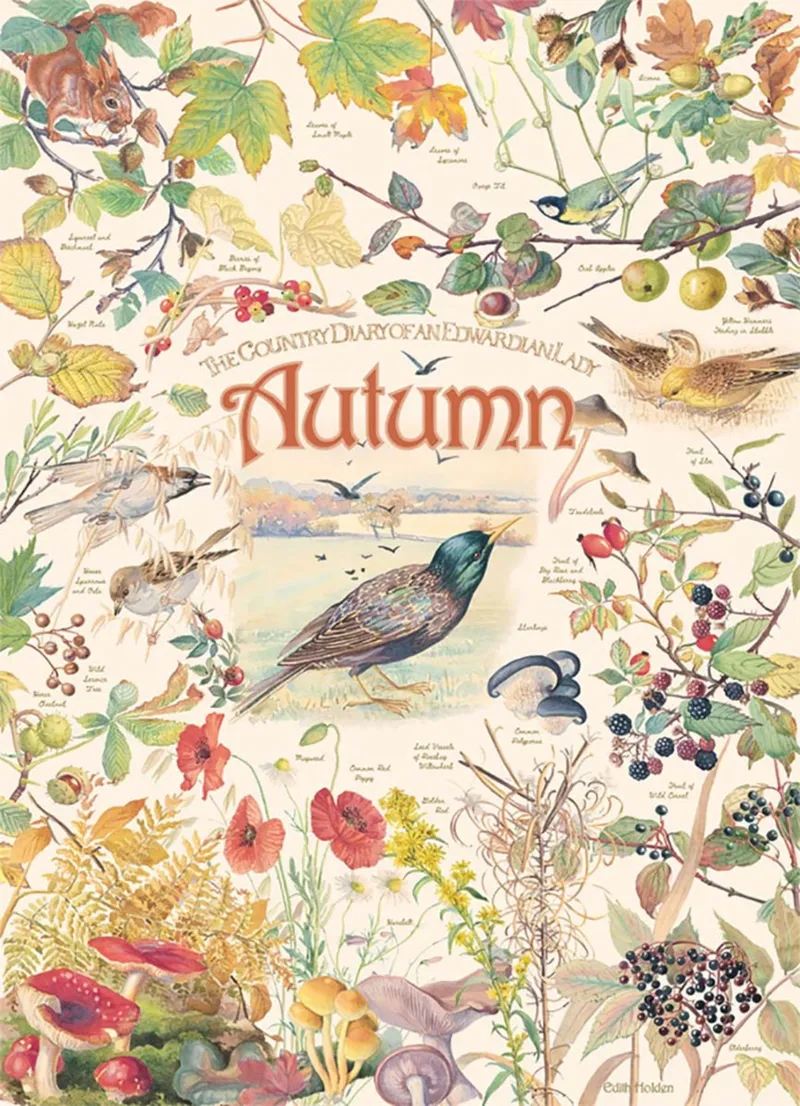 Country Diary - Automne