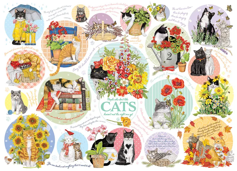Pensées de Chat