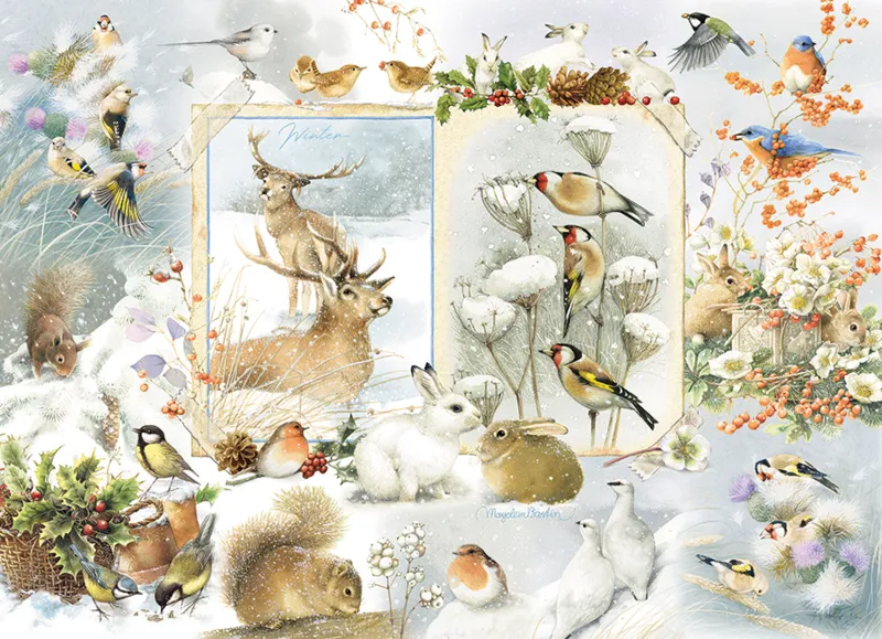 Nature Journal - Hiver