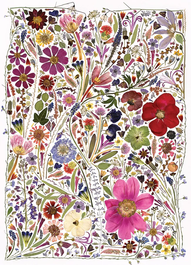 Presse à fleurs : Printemps - Random Cut