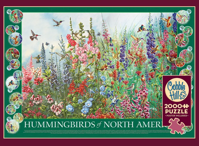 Colibris d'Amérique du Nord