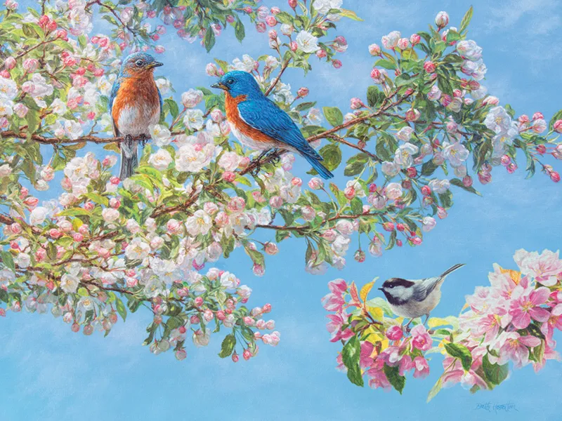 Festival des Fleurs