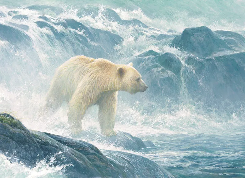 Pièces XXL - Salmon Watch - Spirit Bear
