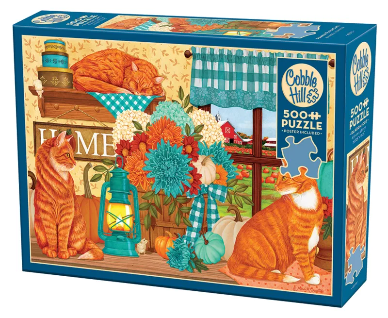 Chats du Champ de Citrouilles