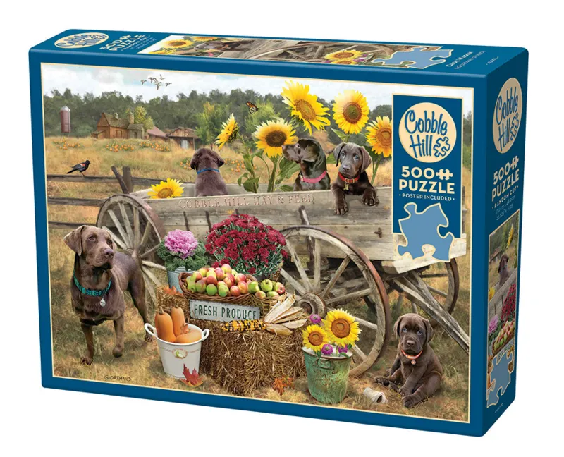 Wagon de Choc