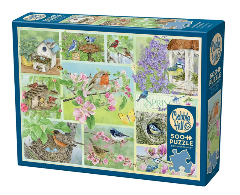 Oiseaux de Jardin au Printemps