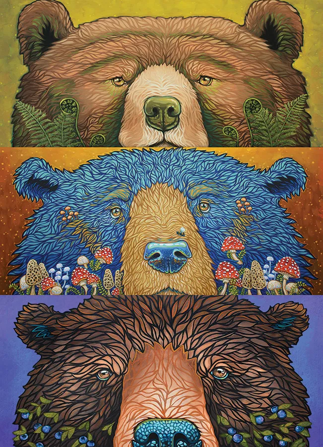 Pièces XXL - Yeux d'Ours : Récolte - Random Cut