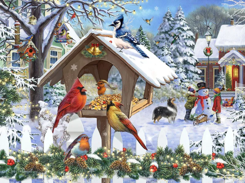 Oiseaux de Noël