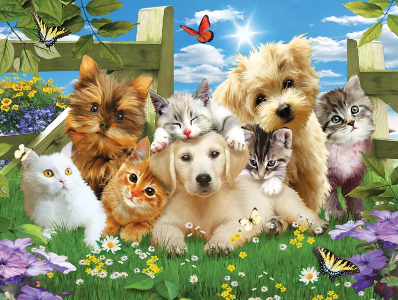 Pièces XXL - Pups n Kittens