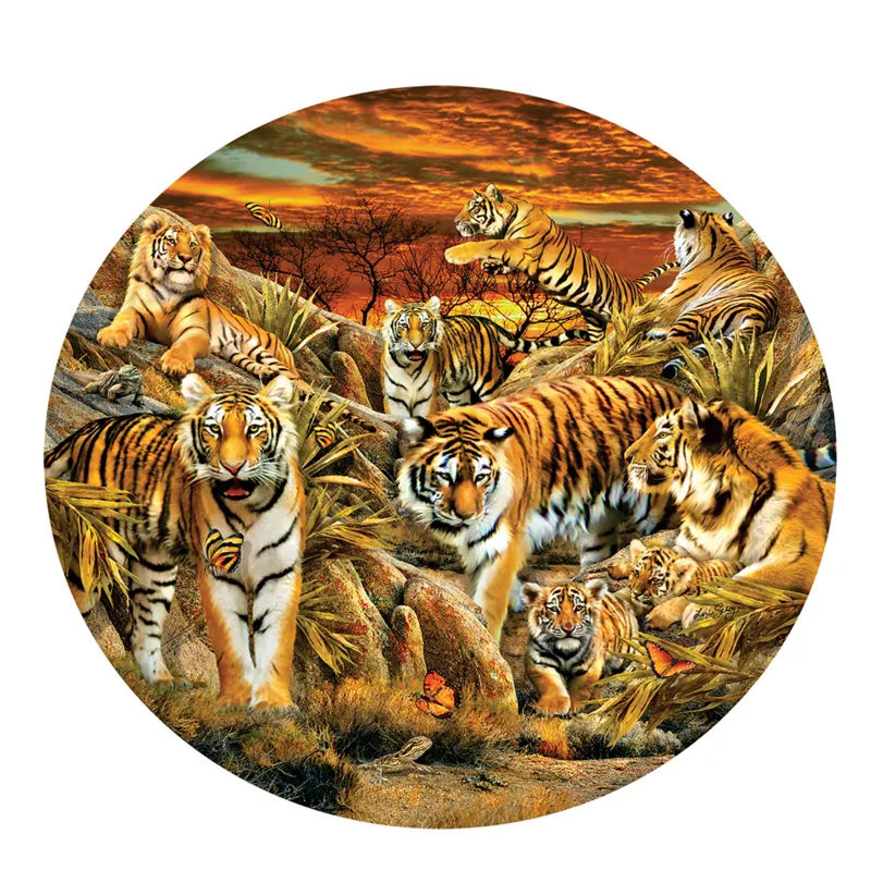Pièces XXL - Lori Schory - Tigres partout