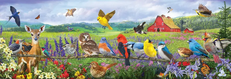 Pièces XXL - Oiseaux de l'Est