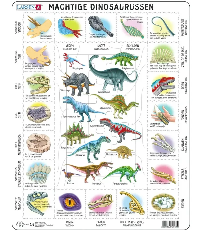 Puzzle Cadre - Dinosaures (en Hollandais)