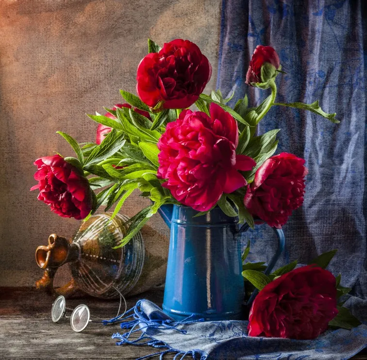 Pivoines Roses
