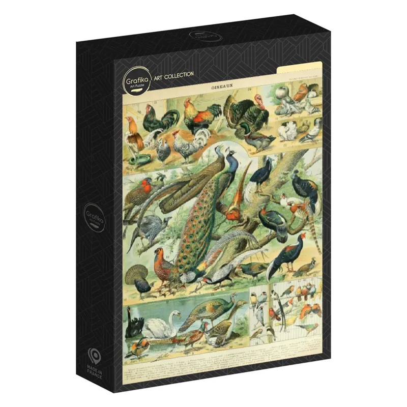 Illustration du Nouveau Larousse Illustré : Oiseaux, XIXè Siècle