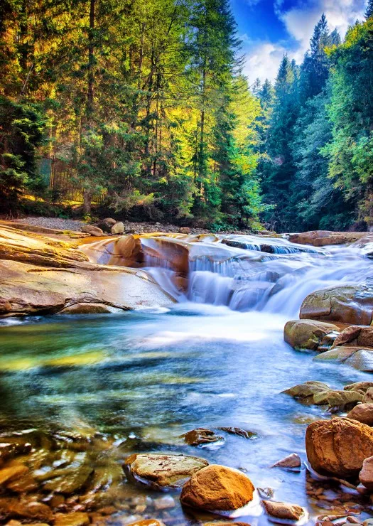Belle Cascade dans la Forêt