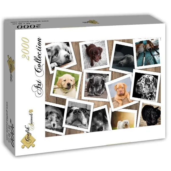 Chiens