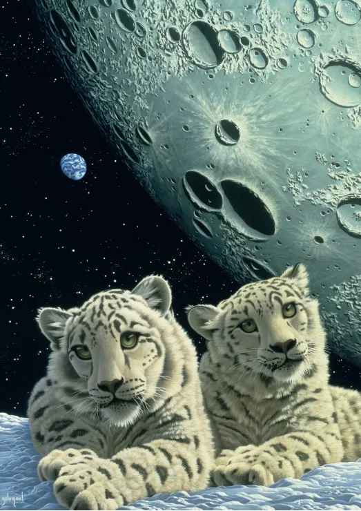Schim Schimmel - Lair of the Snow Leopard