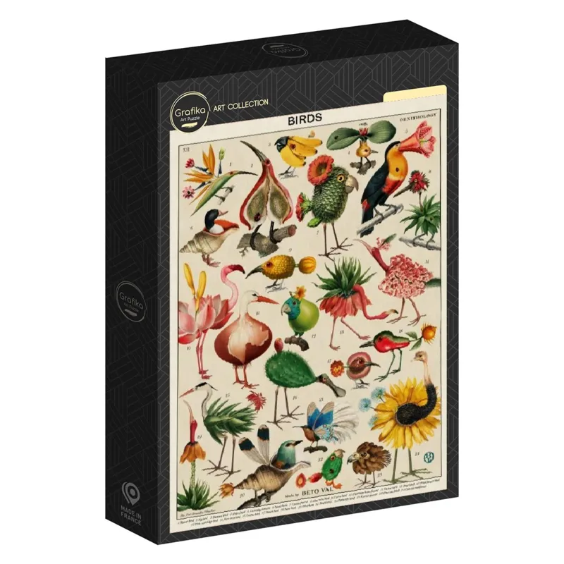 Birds by Beto Val