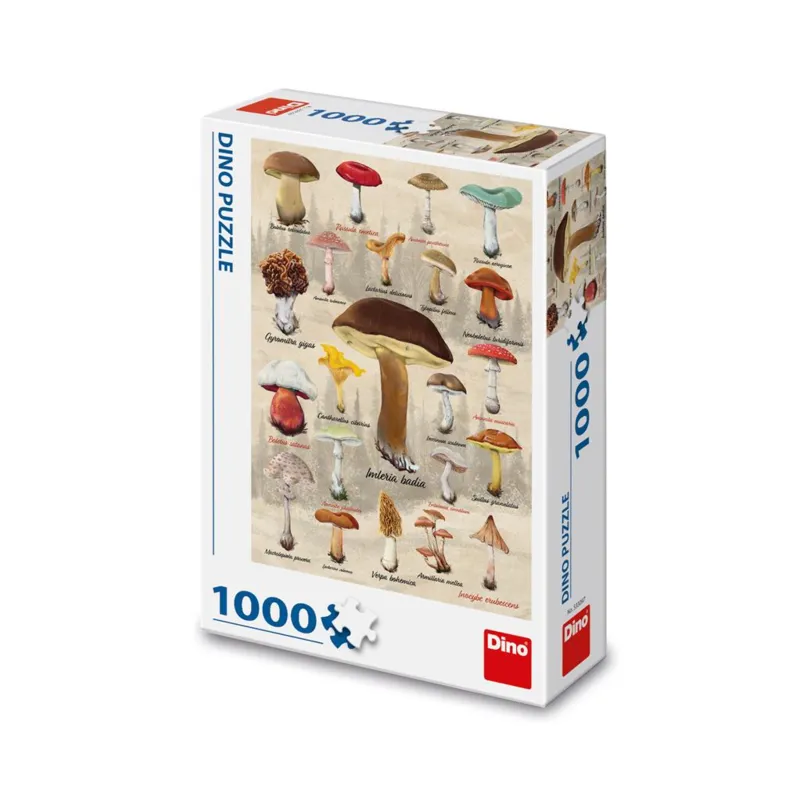 Collage Champignons