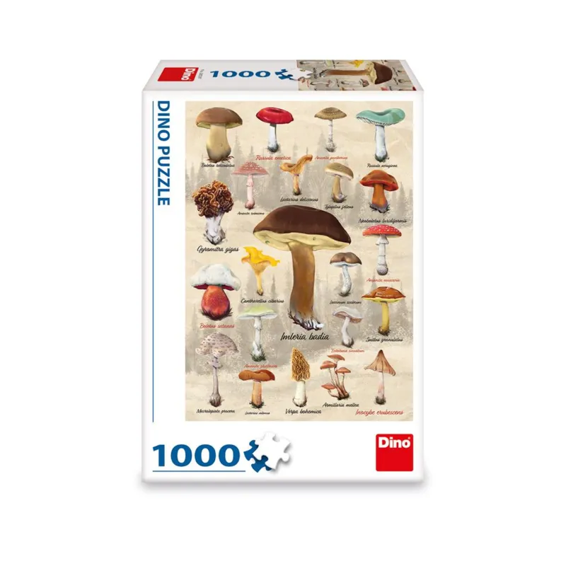 Collage Champignons