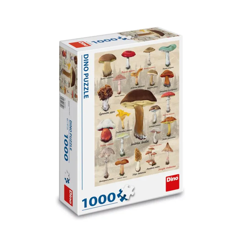 Collage Champignons
