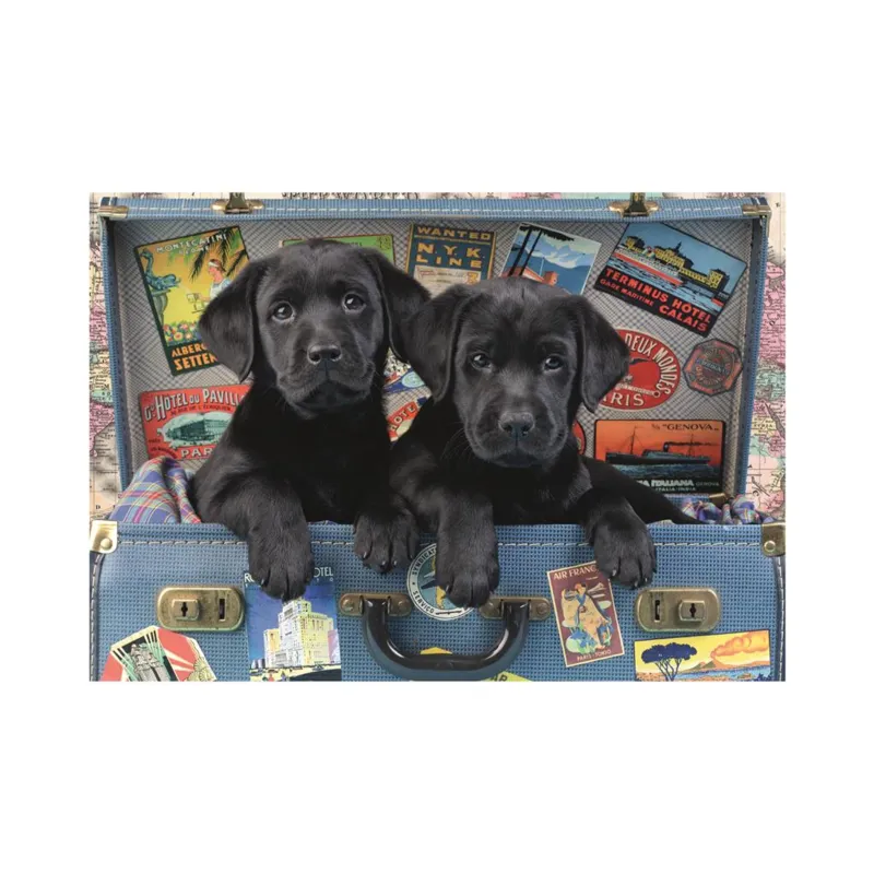 Chiots dans un Coffre