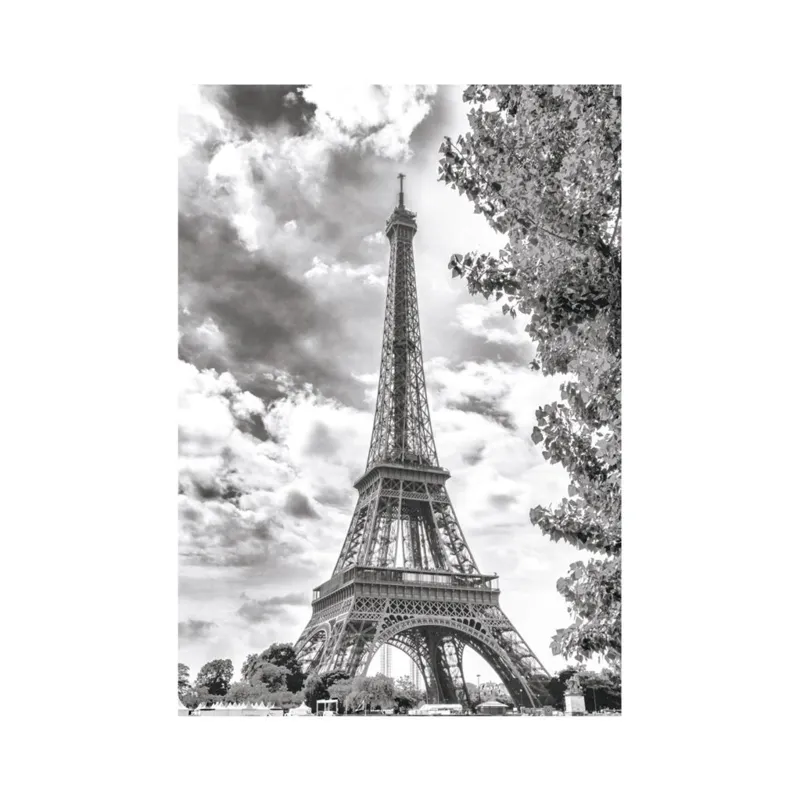 Tour Eiffel Noir et Blanche