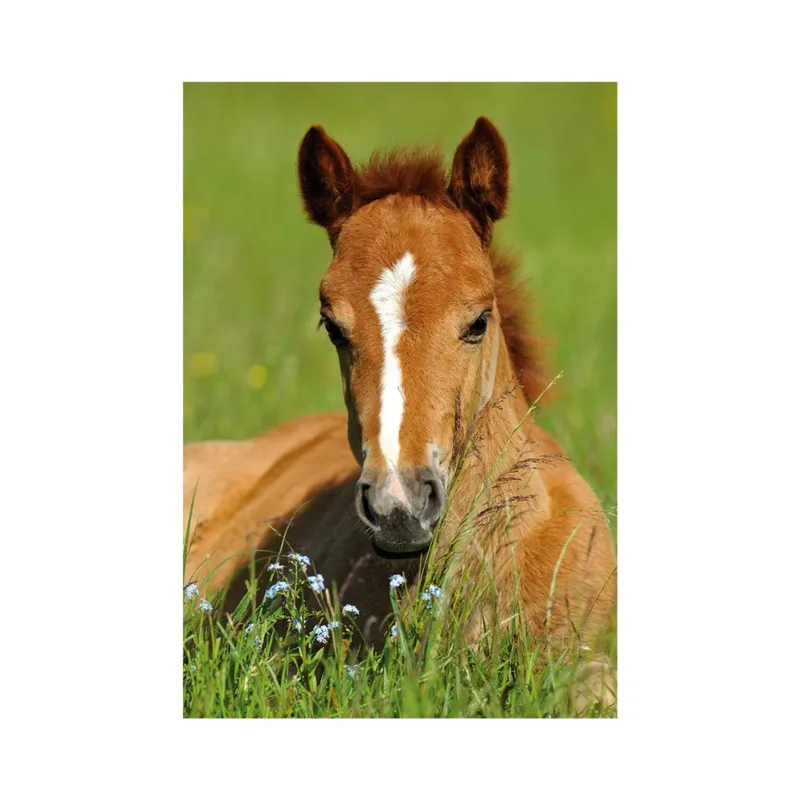 Mini-puzzle Cheval