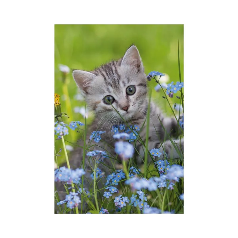 Mini-puzzle Chat