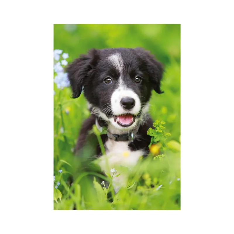 Mini-puzzle Chien