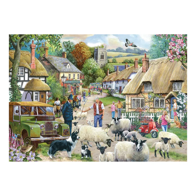 Where Are Ewe Going