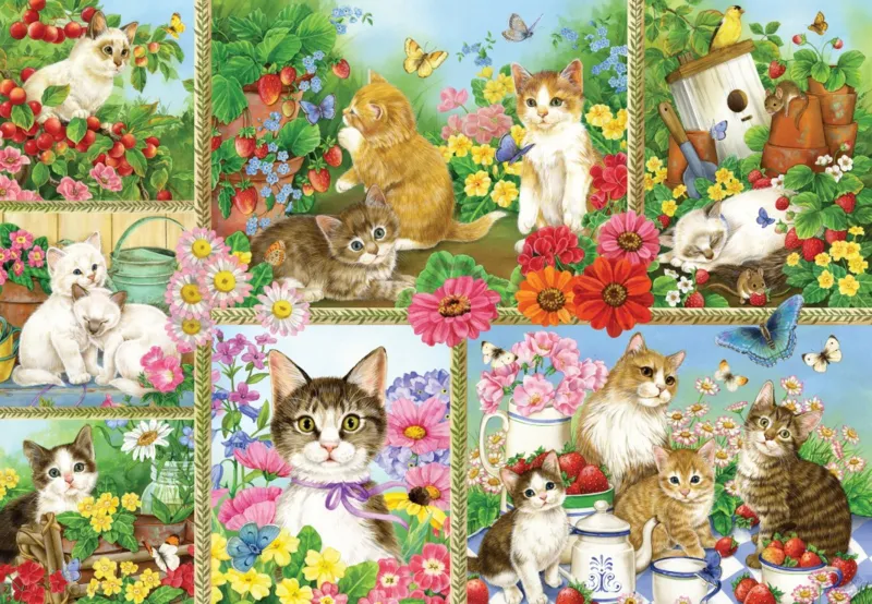 Chats et Chatons