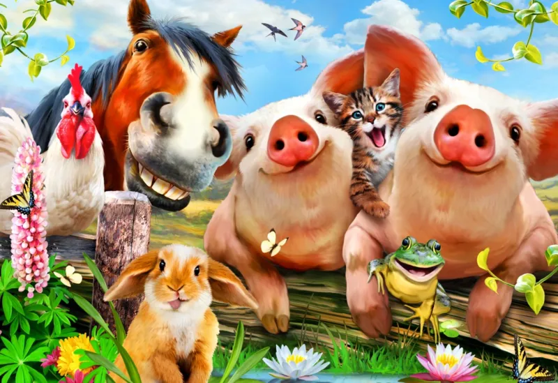 Petting Farm