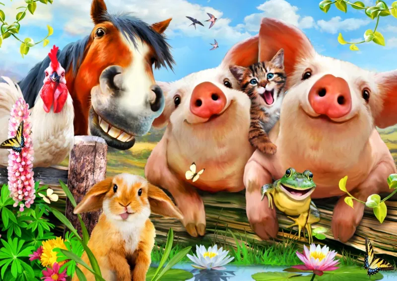 Petting Farm