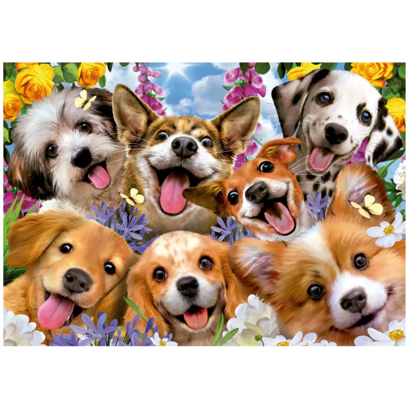 Chiots Selfie. Howard Robinson
