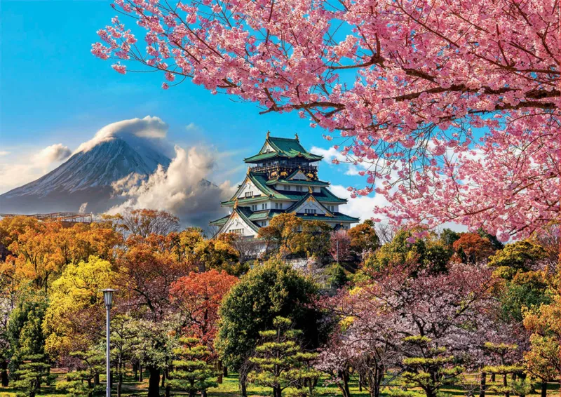 Château d'Osaka. Japon