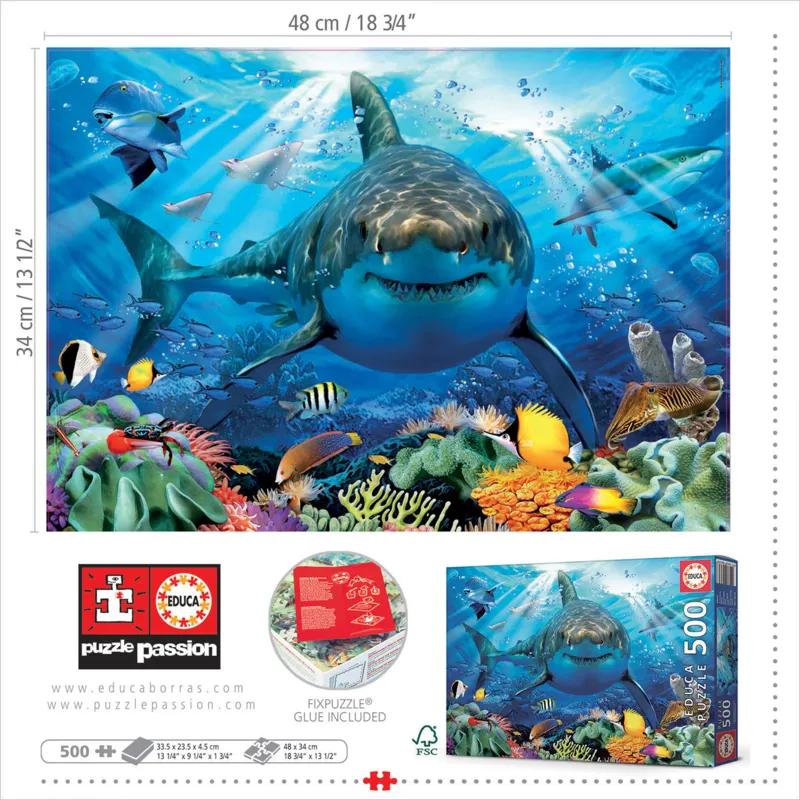 Great White Shark