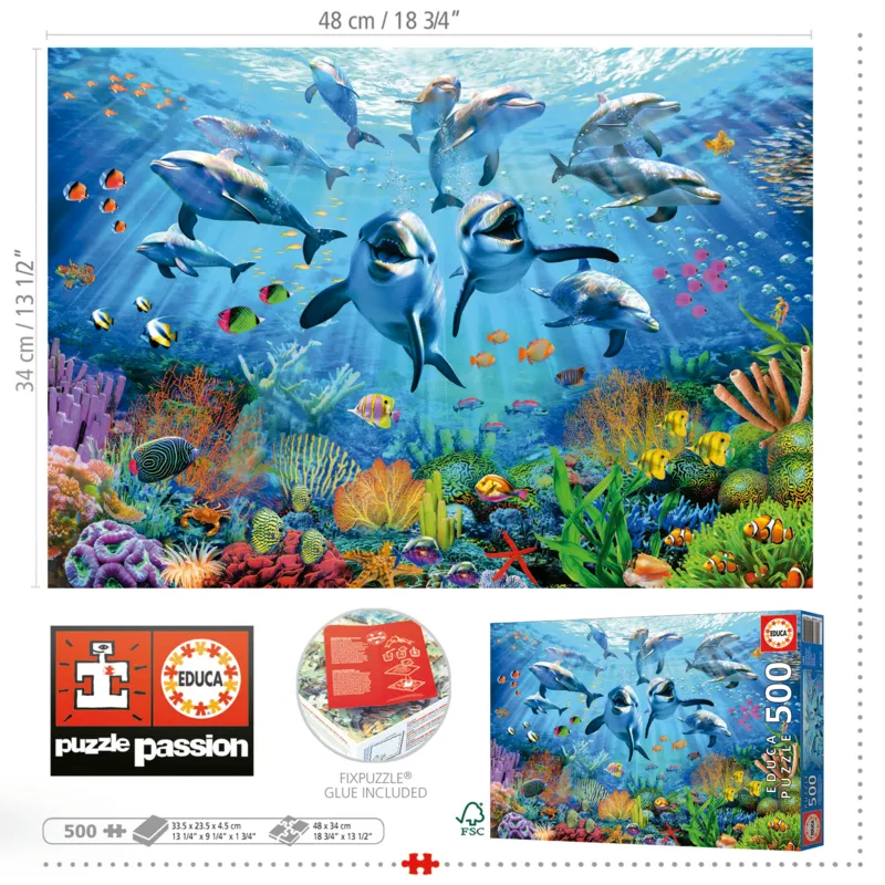 Fête Sous La Mer