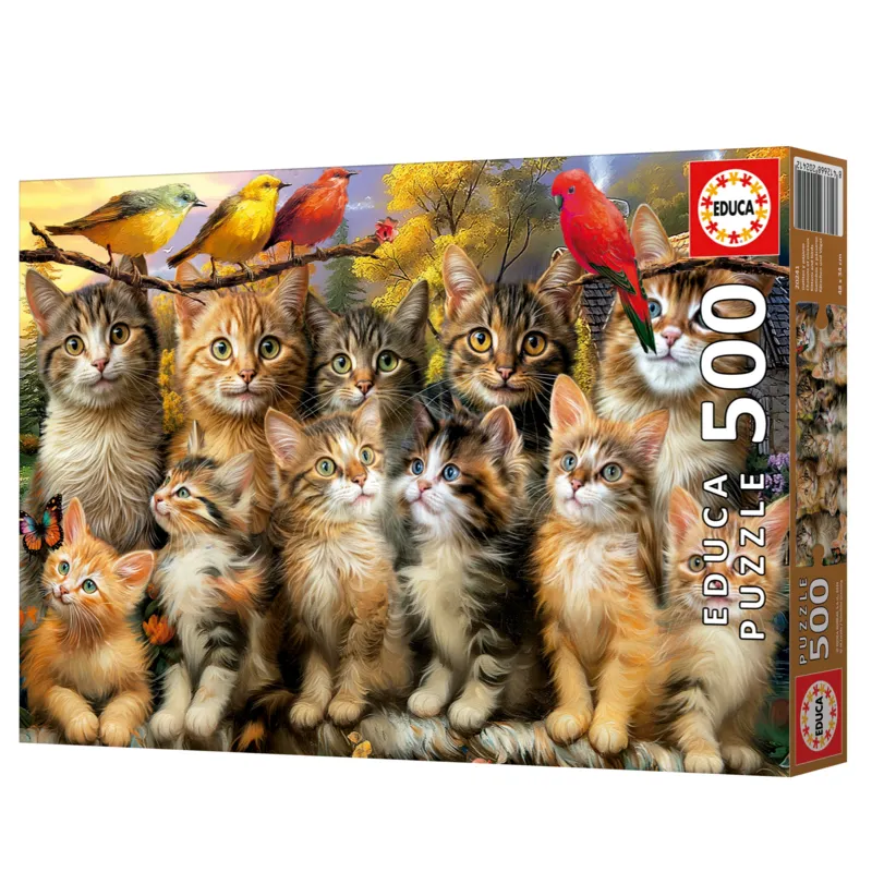 Chatons et Oiseaux
