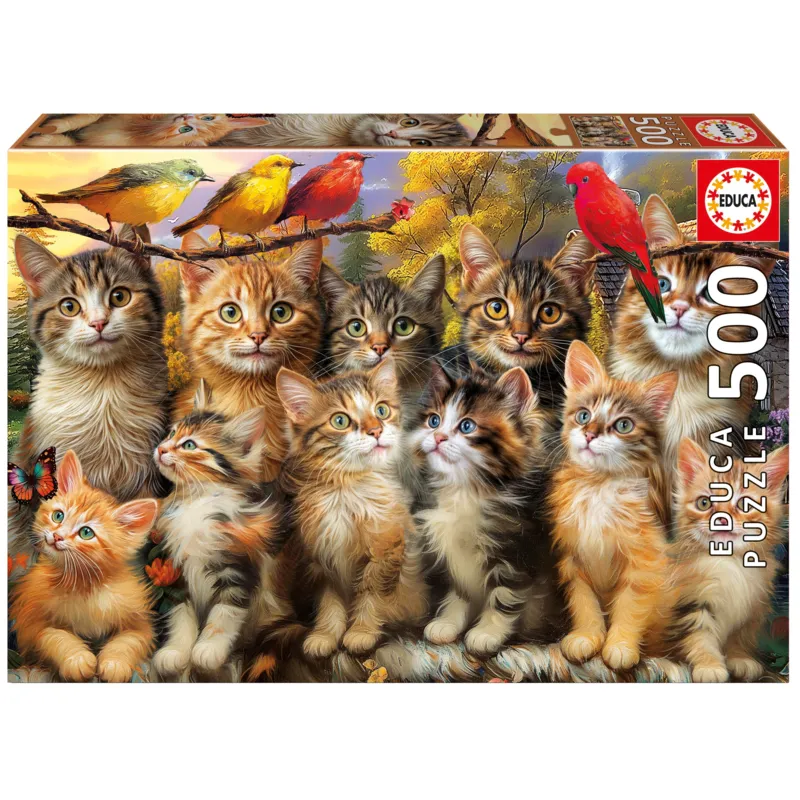 Chatons et Oiseaux