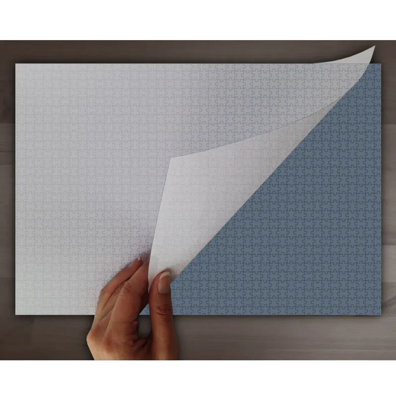 Colle pour Puzzle 3000 pièces