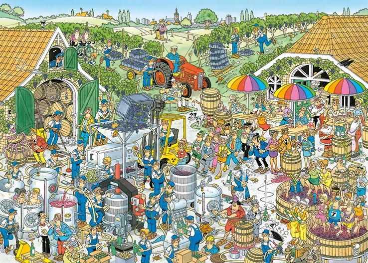 Jan Van Haasteren - Exploitation Vinicole