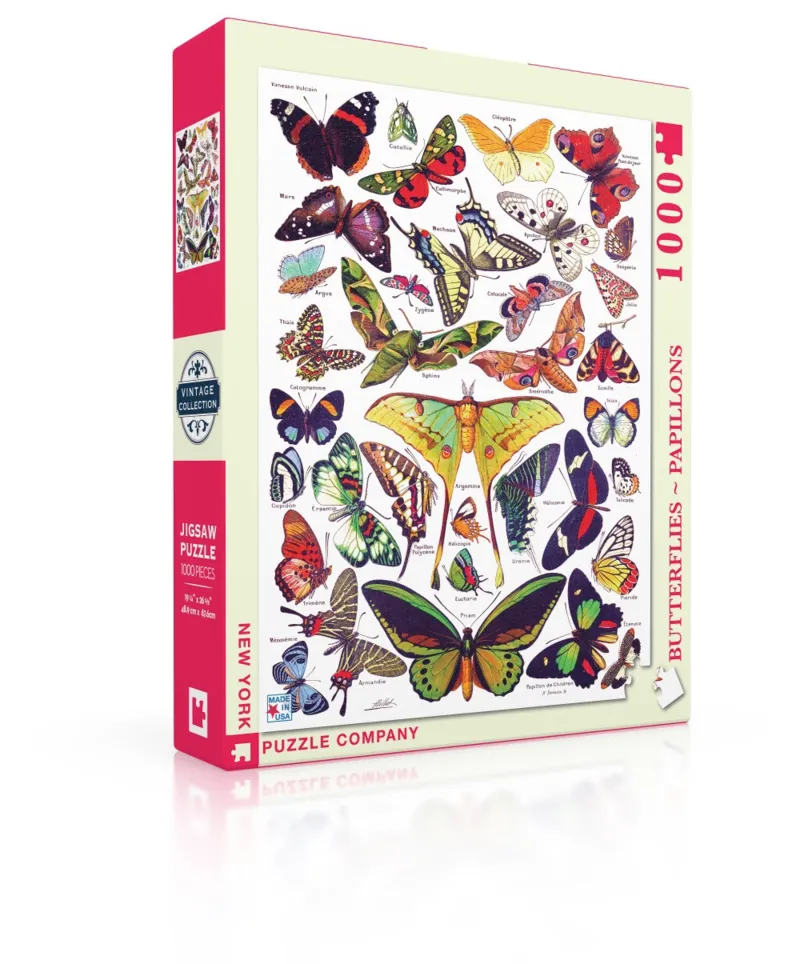 Butterflies - Papillons