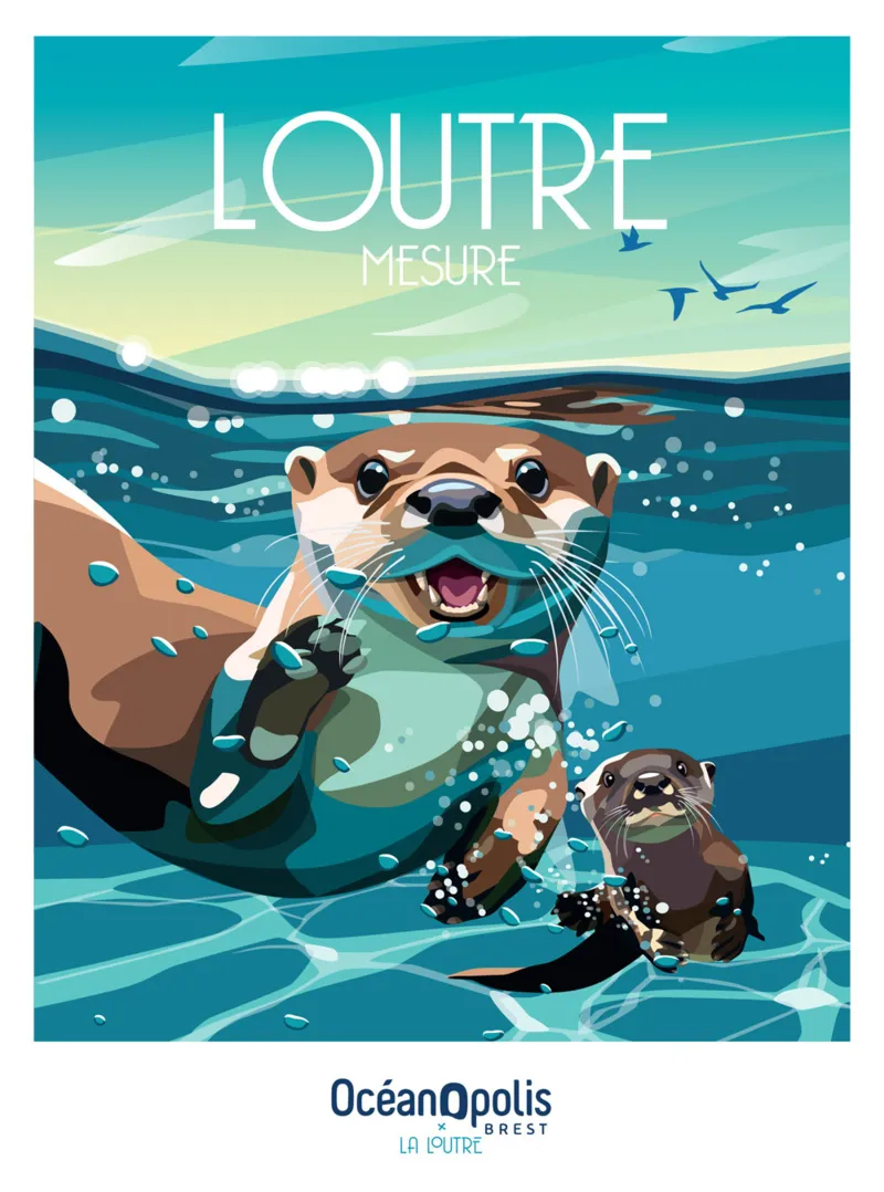 Loutre Mesure