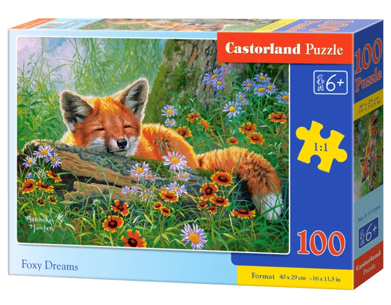 Rêves de Renard