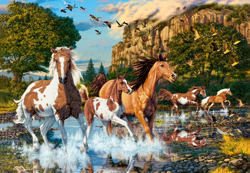 Le Pays des Merveilles du Cheval